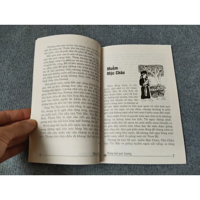 RỪNG NÚI QUÊ HƯƠNG - BĂNG SƠN 720700