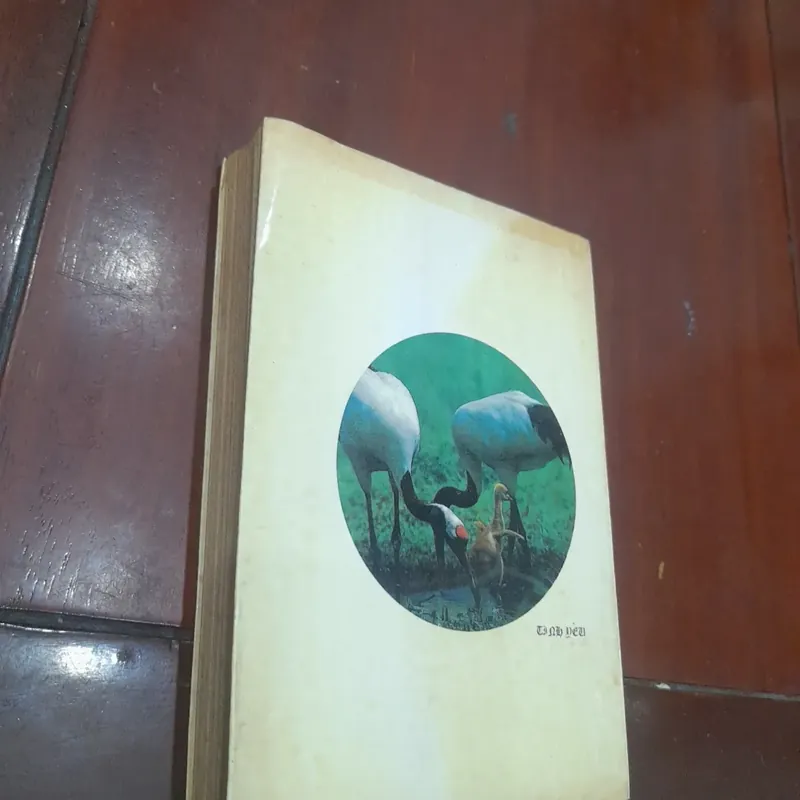 Danh ngôn TÌNH YÊU 562104
