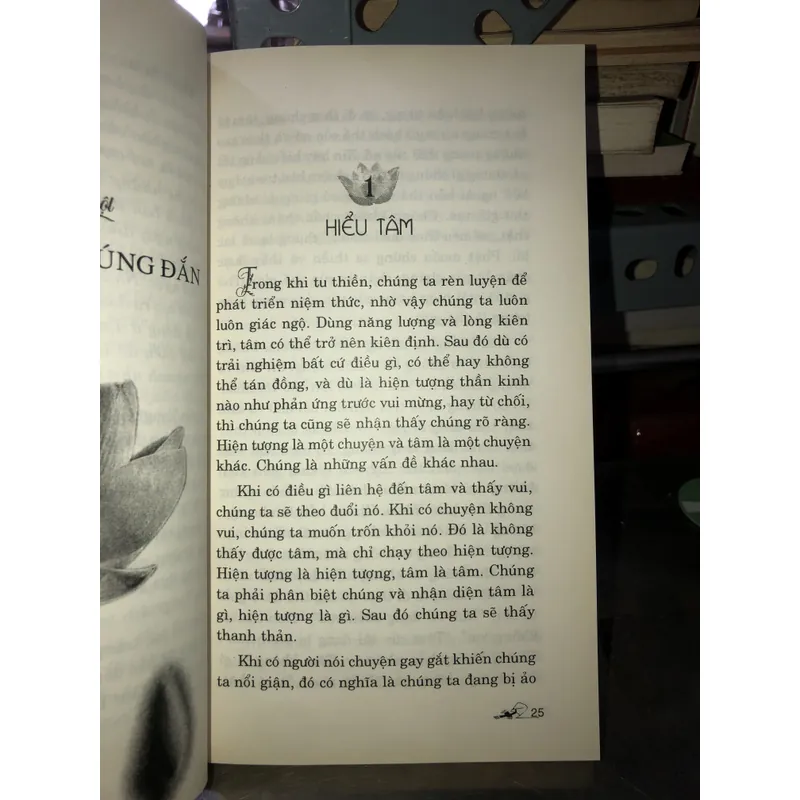 Trong vòng sinh diệt - Ajahn Chah 735839