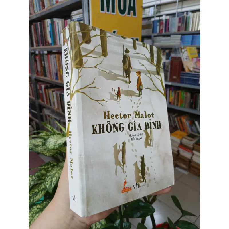 KHÔNG GIA ĐÌNH - HECTOR MALOT (HUỲNH LÝ DỊCH) 1038399
