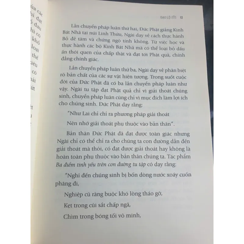 Đạo Lộ - Đường Đến Chân Hạnh Phúc - Tôn Sư Lama Thamthog Rinpoche 736877