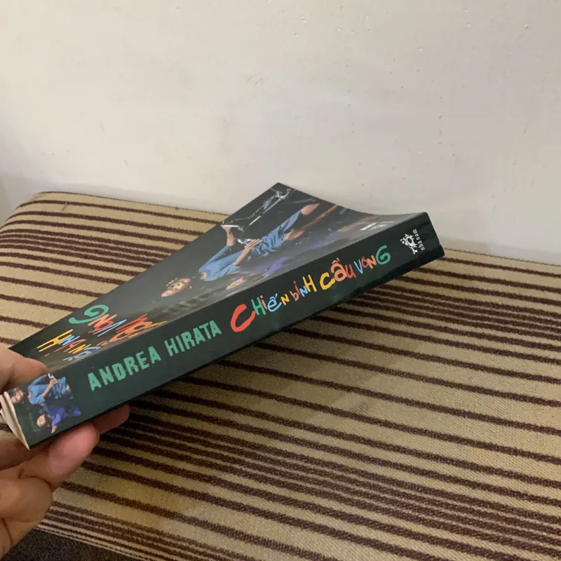 Chiến binh cầu vồng  1025817