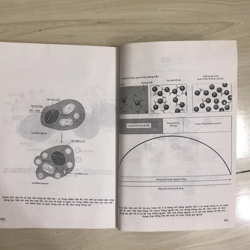 VI SINH VẬT HỌC  335830