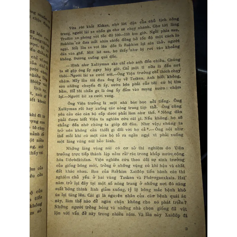 Mưa mùa hạ - Ulmax Umarbêkôp 797854