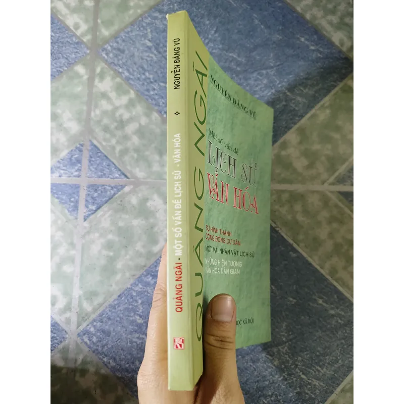 Một số vấn đề lịch sử văn hóa Quảng Ngãi - Nguyễn Đăng Vũ 782632