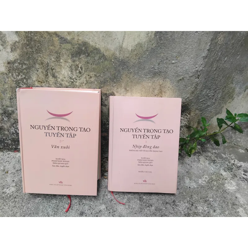 Combo Tuyển tập Nguyễn Trọng Tạo 2, 3 1017513