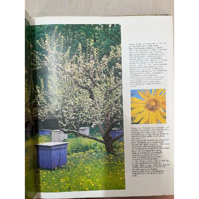 Lev Tolstoy and Yasnaya Polyana 609460