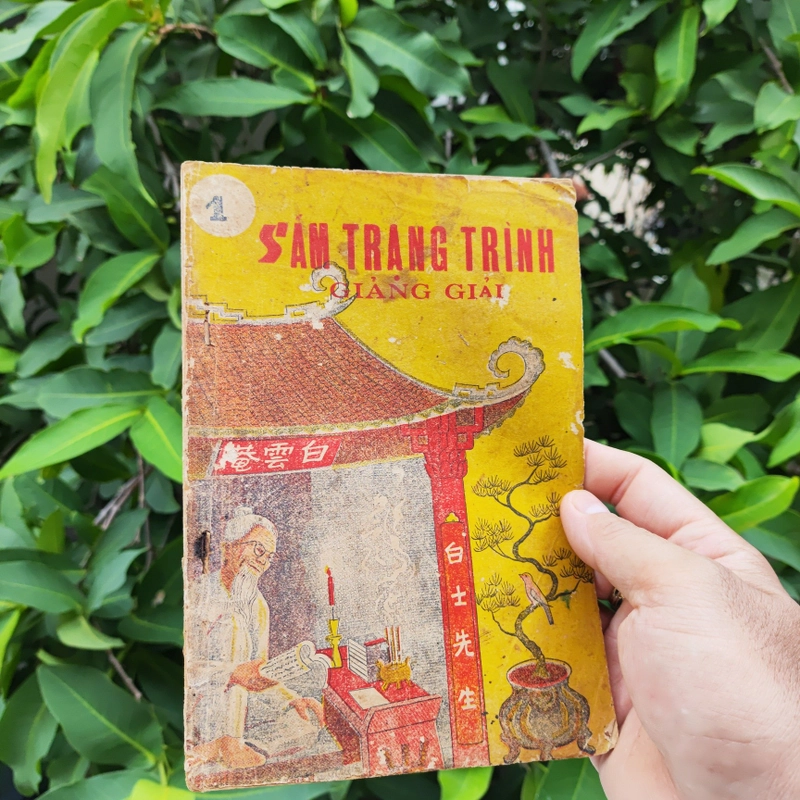 Sấm Trạng Trình Giảng Giải - quyển 1 549263