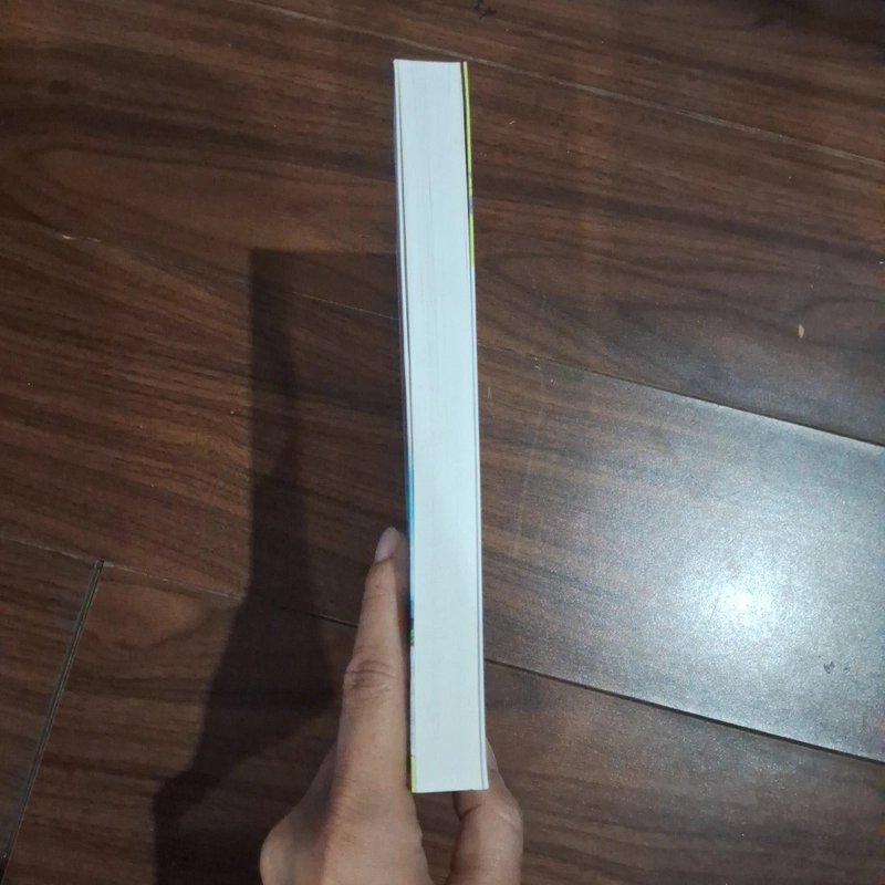 Lý triều bí sử 510859