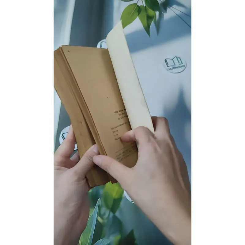 [XƯA] [HIẾM] Tình Hoang Mặn (1989) - Vũ Đức Thắng 997654