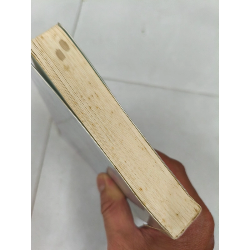 Mùa đông ấm hoa sẽ noở 413646