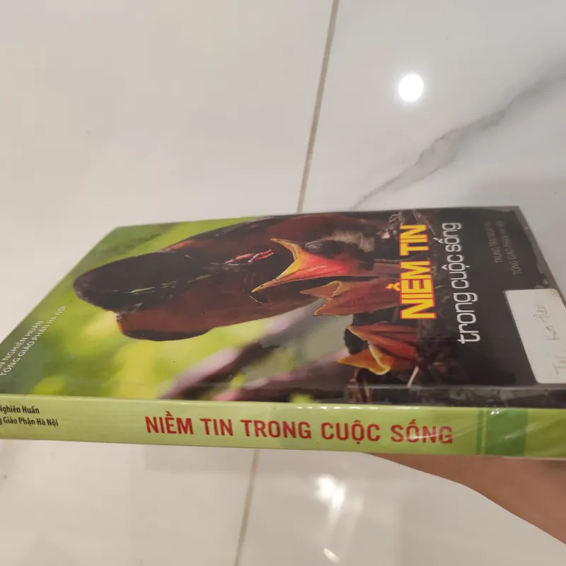 Niềm tin trong cuộc sống  576831