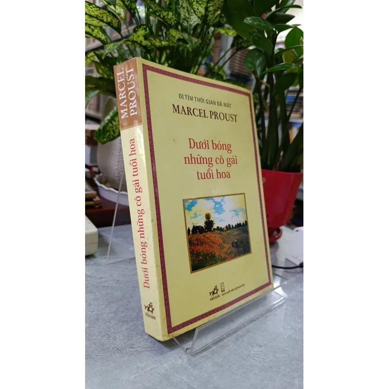 DƯỚI BÓNG NHỮNG CÔ GÁI TUỔI HOA - NGUYỄN TRỌNG ĐỊNH 731875