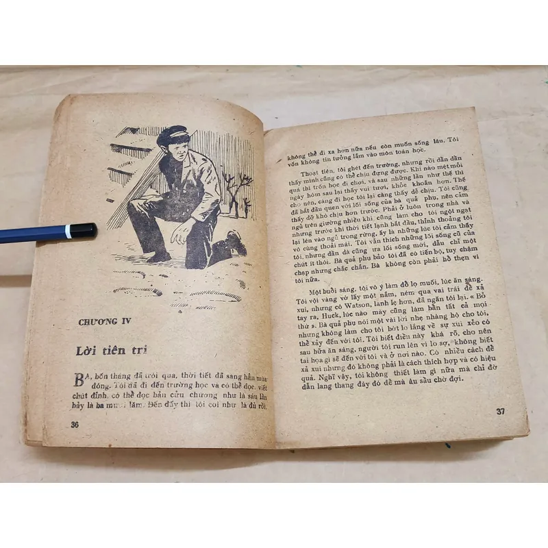 NHỮNG CUỘC PHIÊU LƯU CỦA HUCKLEBERRY FINN - Mark Twain  (tranh vẽ minh họa) 731846