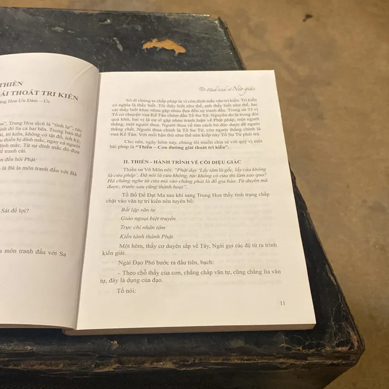 Hành trình về Nẻo Giác- Thích Đạt Ma Khế Định 689217