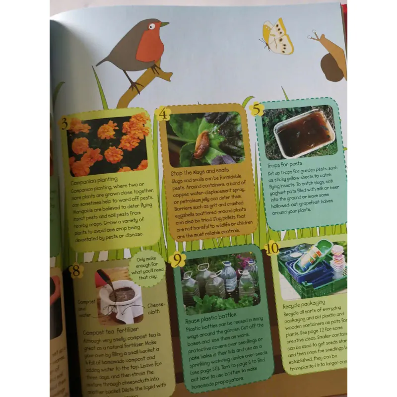 Ready, Steady, Grow! Quick and Easy Gardening Projects 1002061