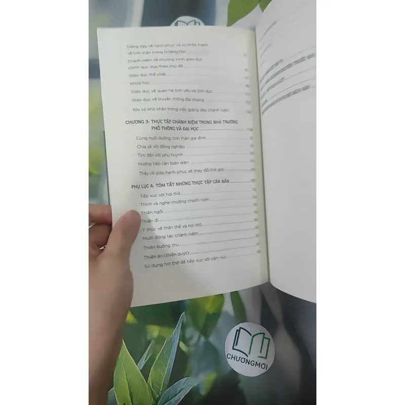 Thầy Cô Giáo Hạnh Phúc Sẽ Thay Đổi Thế Giới 2 - Thích Nhất Hạnh & Katherine Weare 1018932