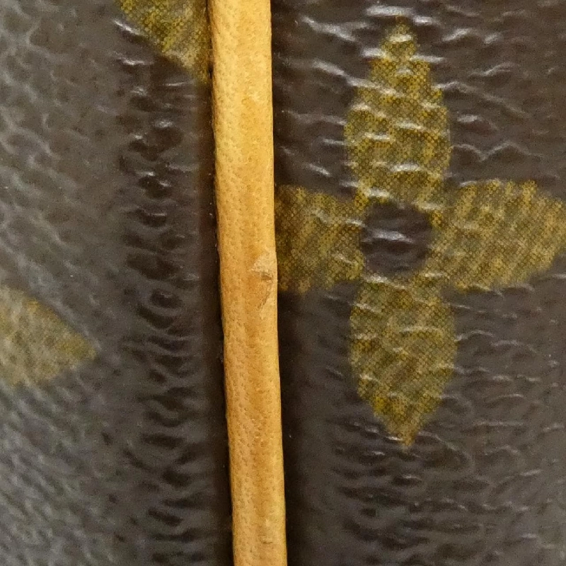 Túi xách vai Louis Vuitton Monogram Amazon M45236 609183