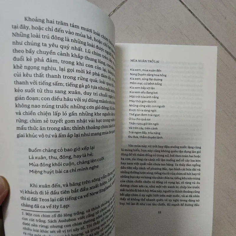 Sách Những chuyến dạo chơi của Thoreau 716813