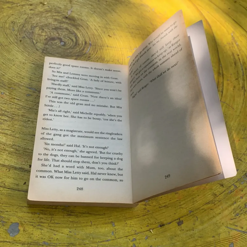 OWL LIGHT - MAGGIE PEARSON 763350