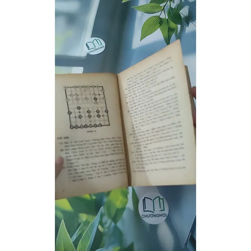 [XƯA] Tượng Kỳ Hậu Vệ (1993) - Vương Gia Lương 997845