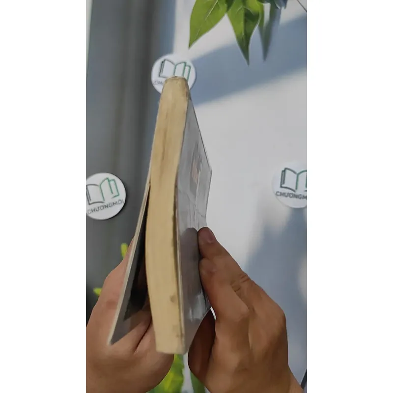 Cô gái đến từ hôm qua - Nguyễn Nhật Ánh 798382