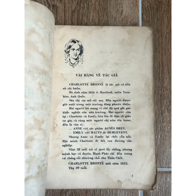 Chiếc Lá Giữa Dòng (Jane Eyre) - Charlotte Bronte (Sách Trước 75) 738042