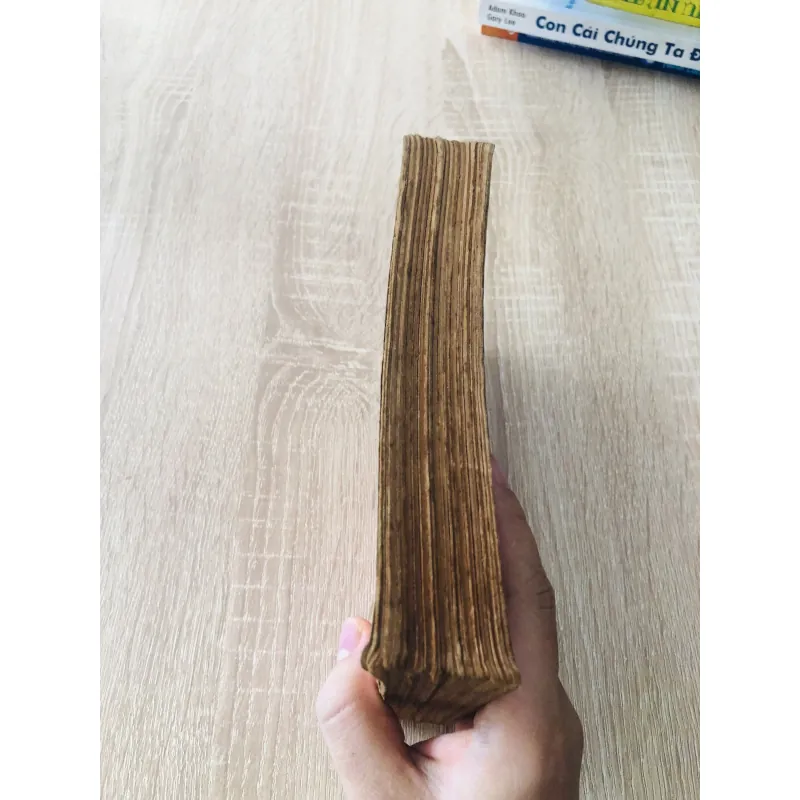 HẬN TÌNH VÀ THAM VỌNG 1006373