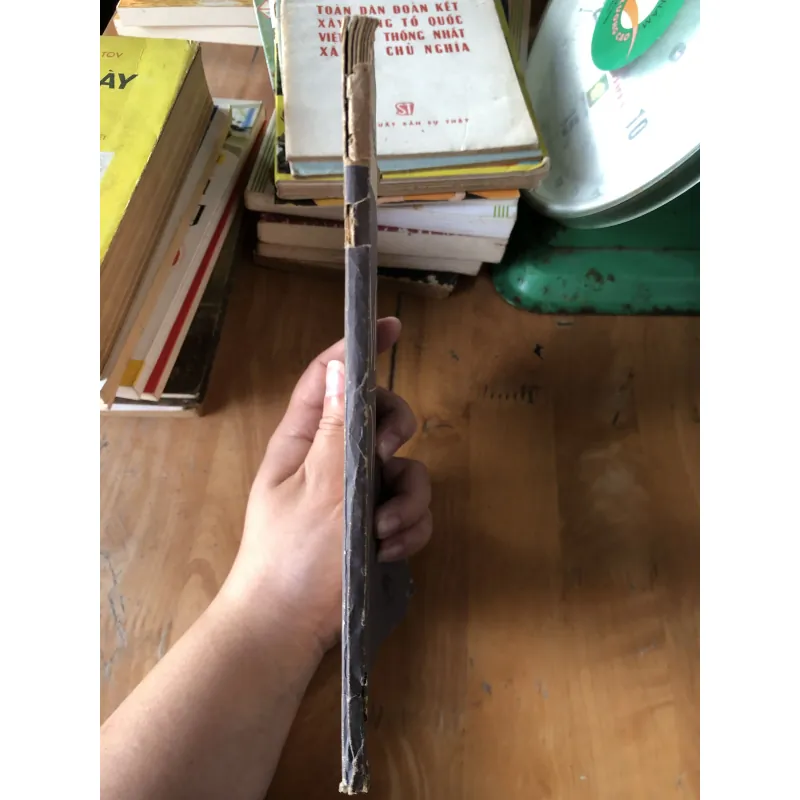 Một đôi lời-Nguyễn Khắc Viện 973861