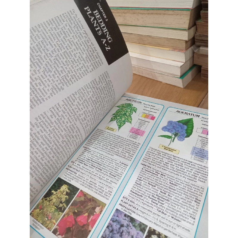 The bedding plant expert - Dr. D.G.Hessayon 795872