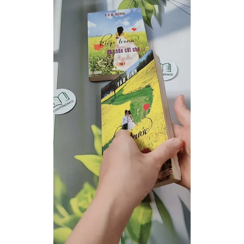 Bộ Kiếp Trước Em Đã Chôn Cất Cho Anh - Tào Đình 744693