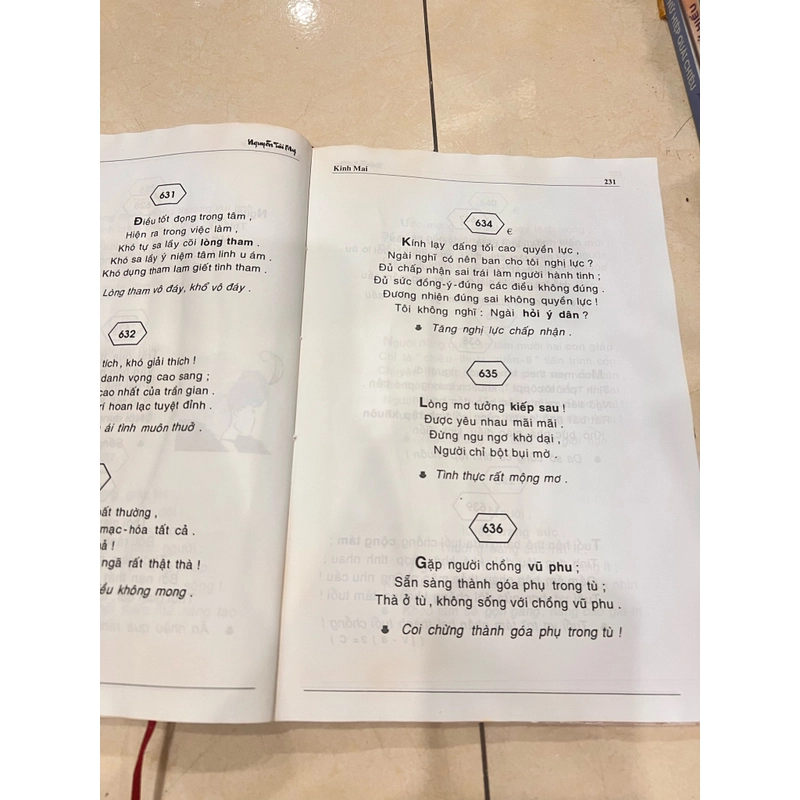 Sách kinh Mai bìa cứng - Nguyễn Tai My 473242