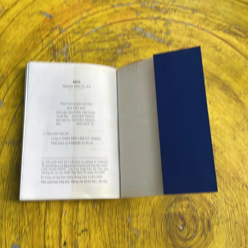 MƯA - NGUYỄN HIẾN LÊ DỊCH- tập truyện ngắn 779074