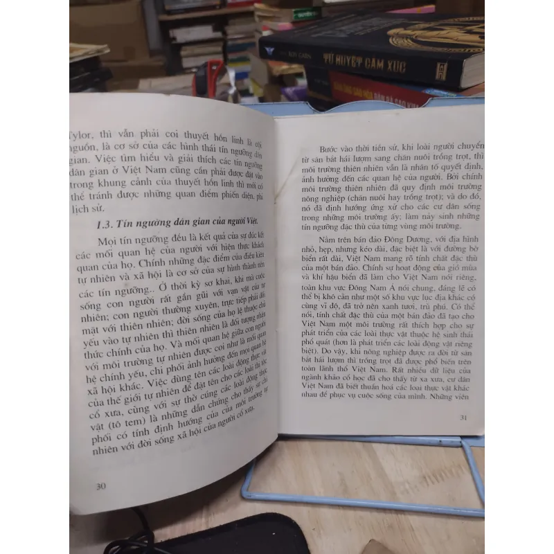 Sách: Tín ngưỡng dân gian ở Việt Nam - TG: Lê Như Hoa (A2) 994279