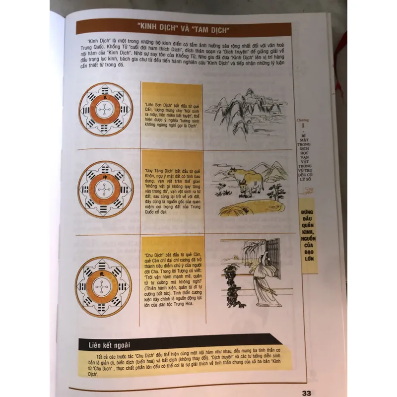 Mai hoa dịch số 719447