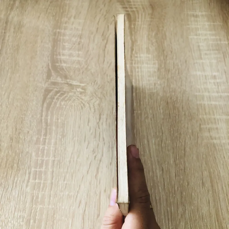 ĐI TÌM SỰ THẬT - Vũ Đức Sao Biển  1029159