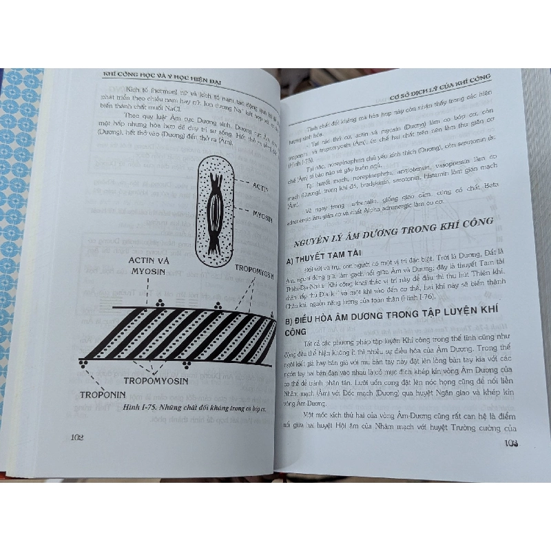 Khí công học và y học hiện tại - Ngô Gia Hy , Bùi Lưu Yêm & Ngô Gia Lương 126211