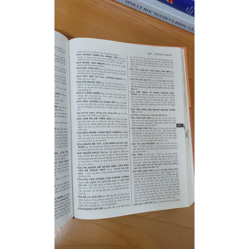 TỪ ĐIỂN TIẾNG VIỆT  739097