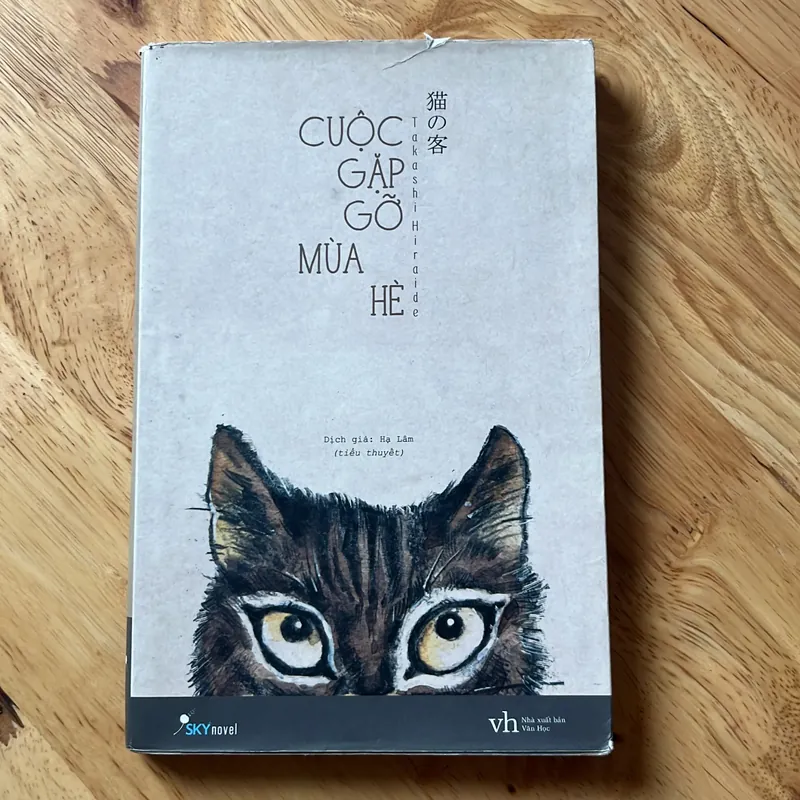 Cuộc gặp gỡ mùa hè 595859