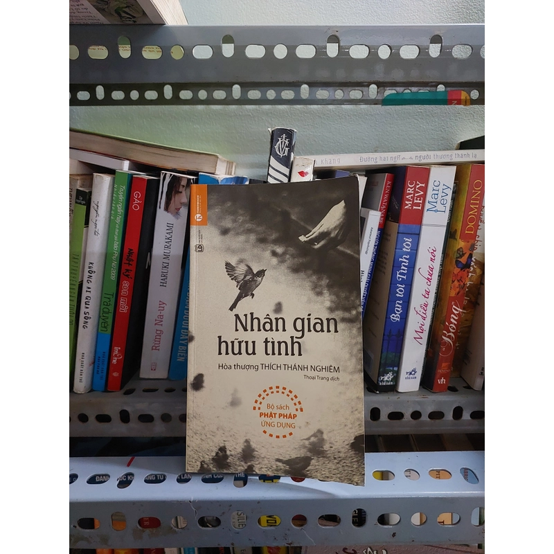 NHÂN GIAN HỮU TÌNH 476900