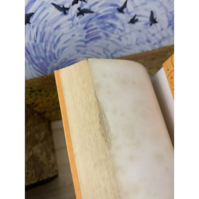 Trời Hôm Ấy Không Có Gì Đặc Biệt - Phan An 758685