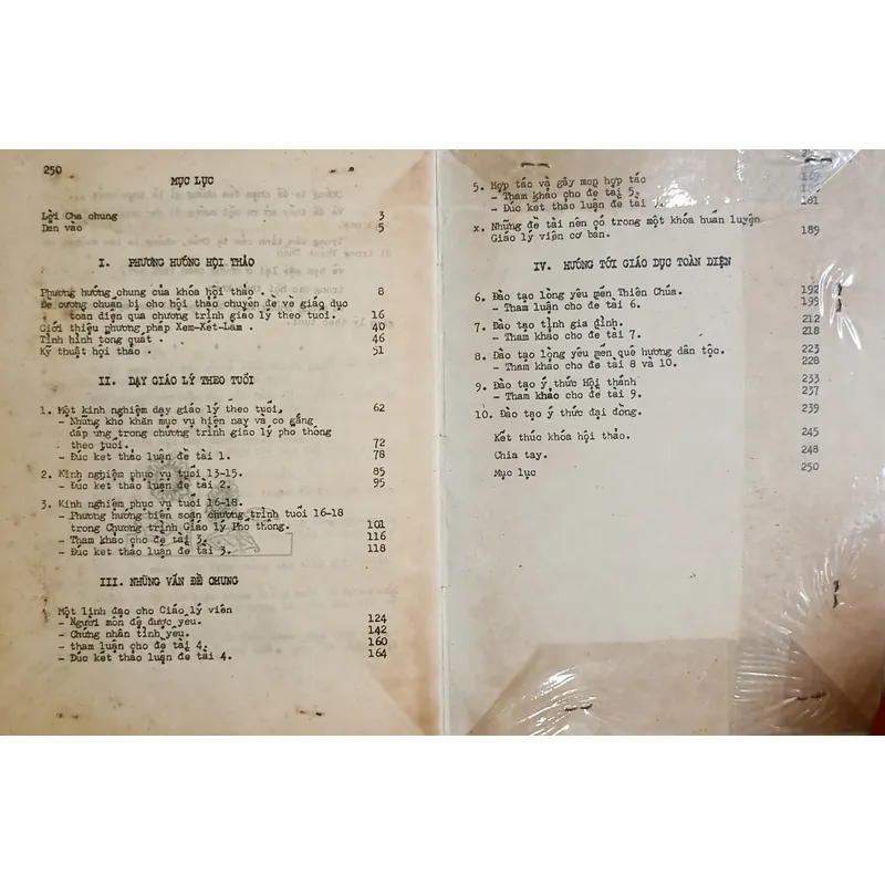 Dạy giáo lý & Đào tạo người 🌻 594672