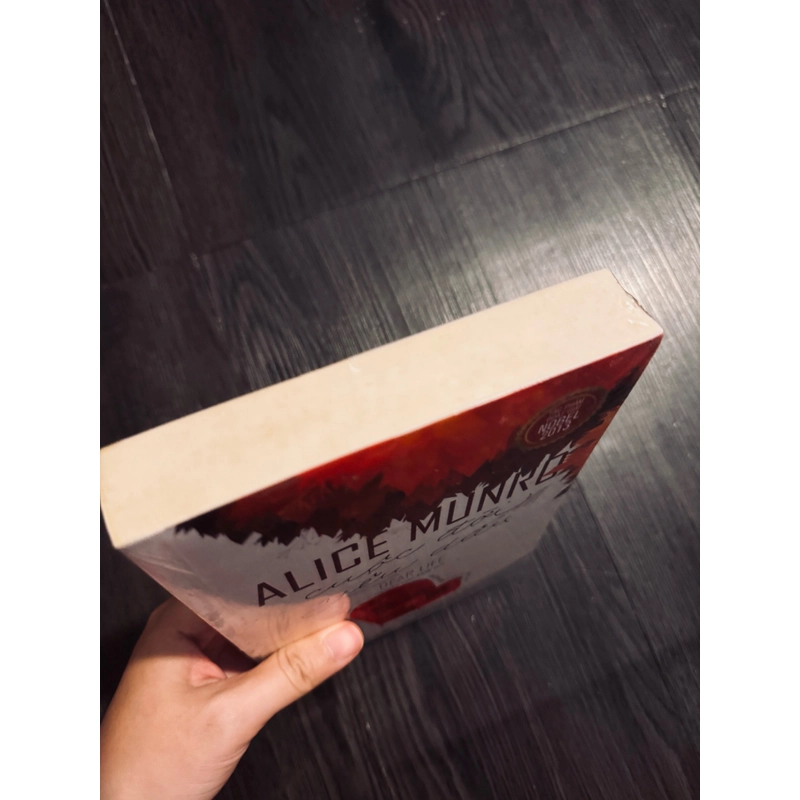 Cuộc đời yêu dấu - Alice Murno  469622