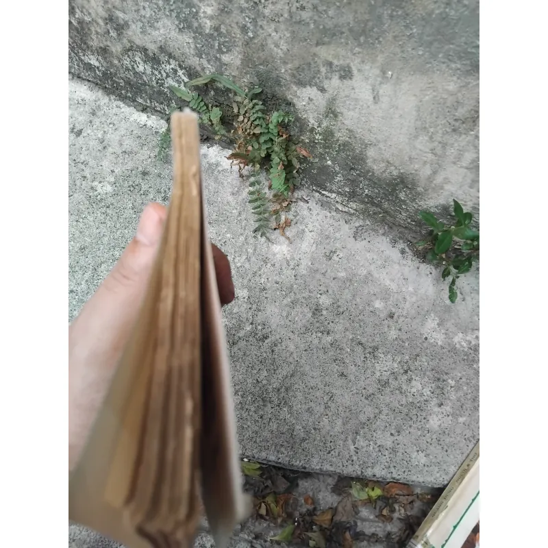 Quang Dũng người và thơ ( bản in đầu ) 1023975