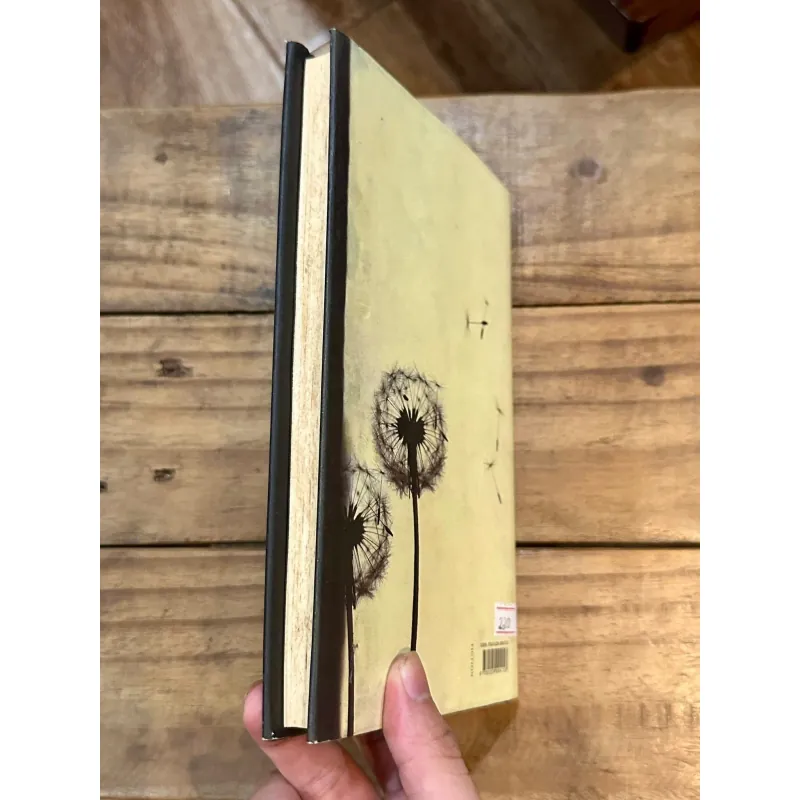 The Sense of an Ending - Julian Barnes 729016