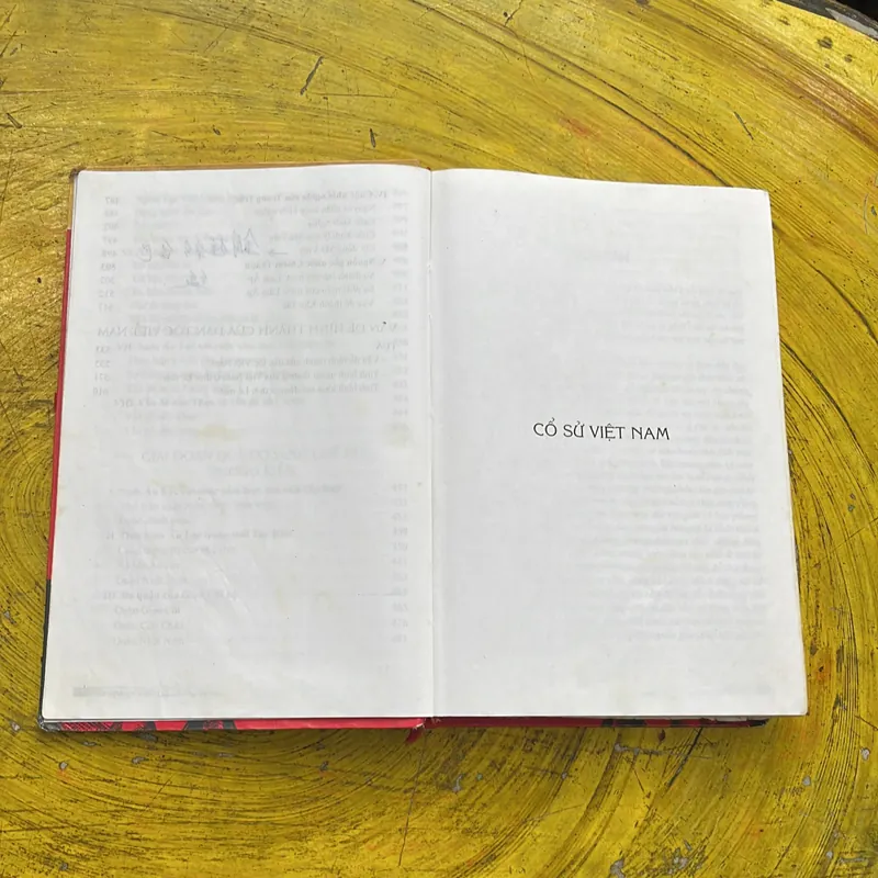 LỊCH SỬ CỔ ĐẠI VIỆT NAM- ĐÀO DUY ANH 689634