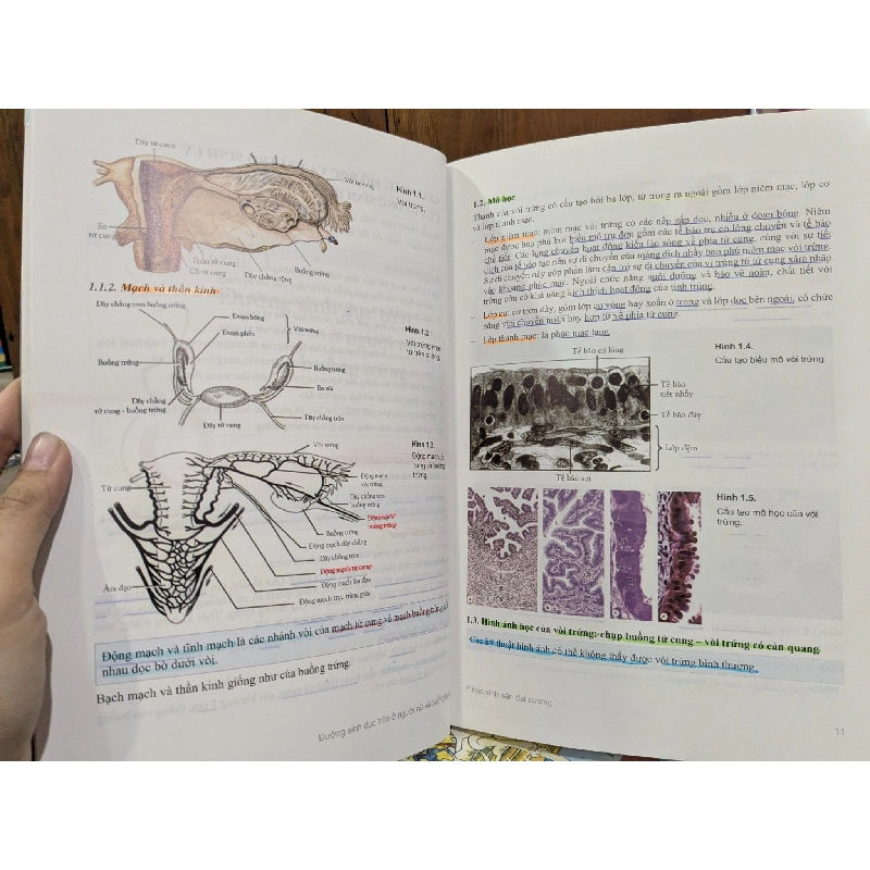 Y học sinh sản đại cương - Vương Thị Ngọc Lan, Âu Nhựt Luân 746055