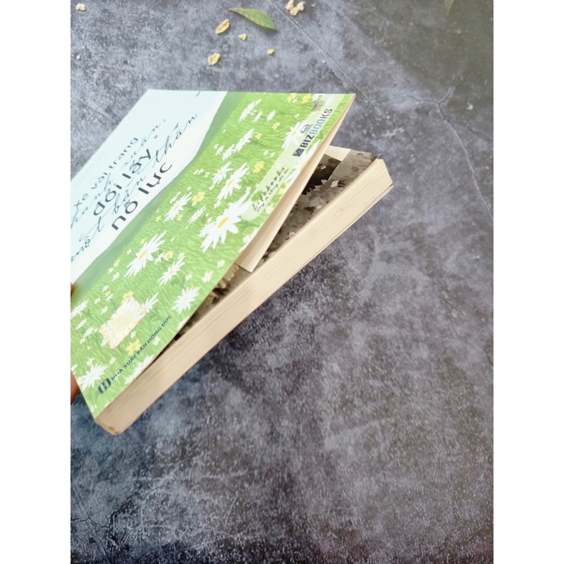 Xé Vài Trang Thanh Xuân, Đổi Lấy Một Bản Thân Nỗ Lực 182927