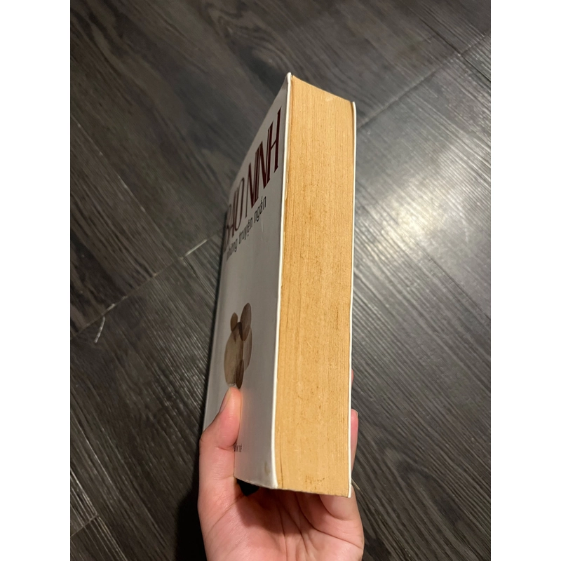 Những truyện ngắn Bảo Ninh 308882