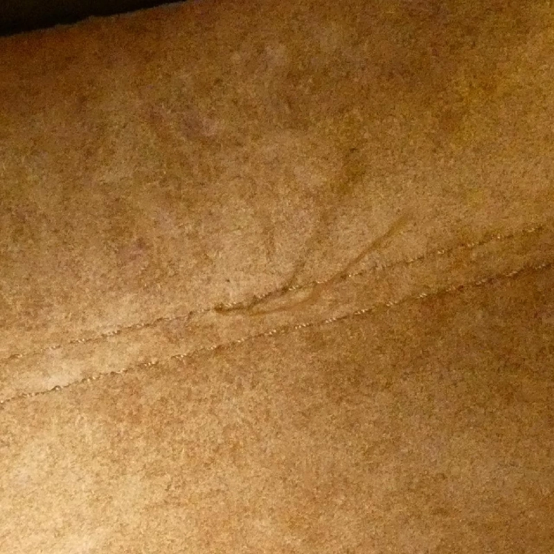 Túi đeo vai ASYMMETRIC 387 03VN92 của Loewe 610267